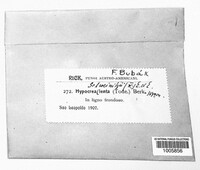 Image Associated With the Occurrence